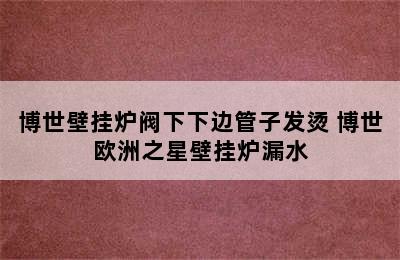 博世壁挂炉阀下下边管子发烫 博世欧洲之星壁挂炉漏水